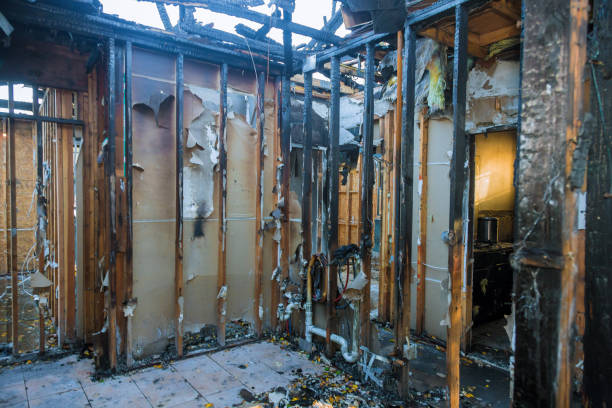 Professional Odor Removal technician working in Montgomery, TX