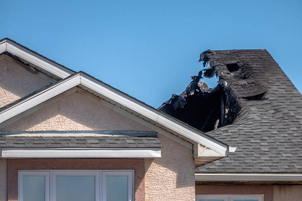 Top rated local Odor Removal specialists in Montgomery, TX